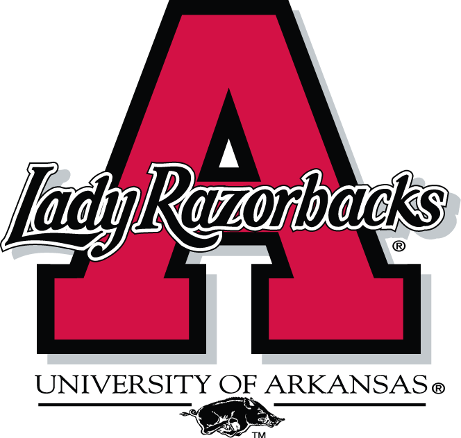 Arkansas Razorbacks 1998-2000 Alternate Logo iron on transfers for clothing